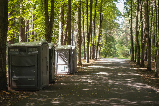Best Porta potty for special events  in Poncha Springs, CO